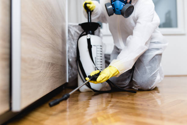 Best Rat Extermination Near Me  in Chesterfield, MO