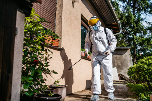 Best Wasp Removal Services  in Chesterfield, MO