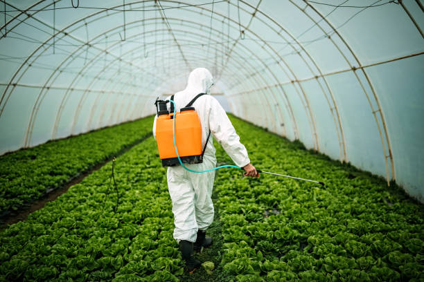 Best Best Pest Control Companies  in Chesterfield, MO