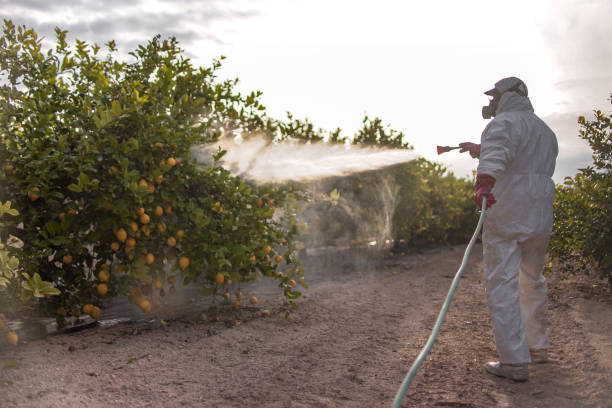 Chesterfield, MO Pest Control Company