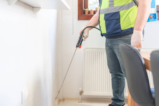 Best Termite Control Services  in Chesterfield, MO