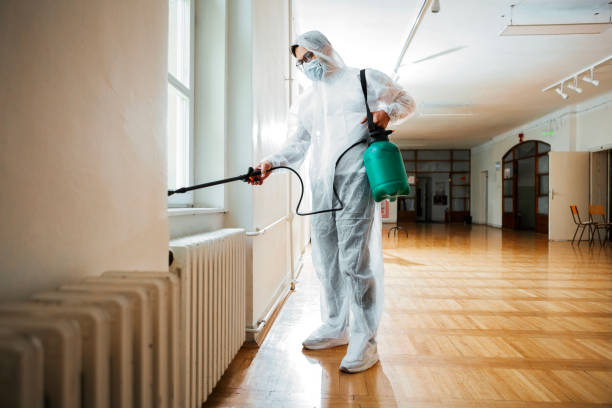 Best Cockroach Control Services  in Chesterfield, MO
