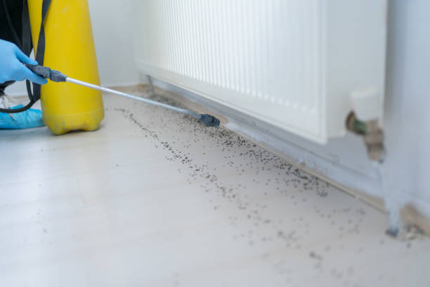 Chesterfield, MO Pest Control Company