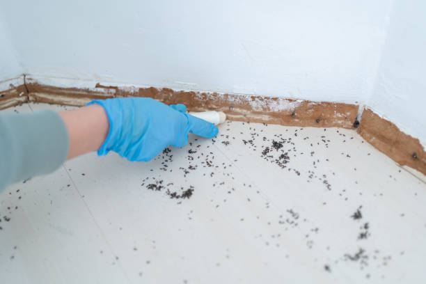 Wildlife Control Services in Chesterfield, MO