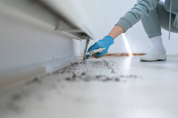 Best Local Pest Control Services  in Chesterfield, MO