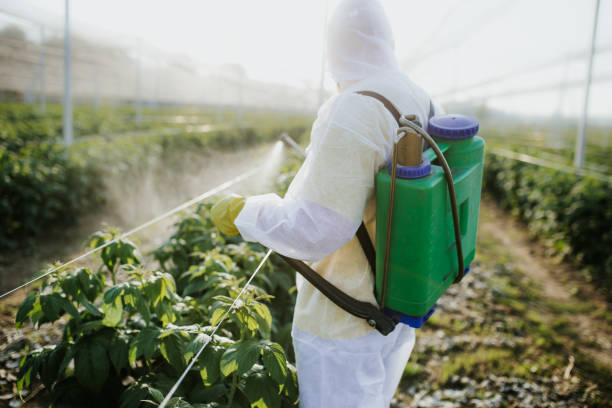 Best Pest Inspection Near Me  in Chesterfield, MO